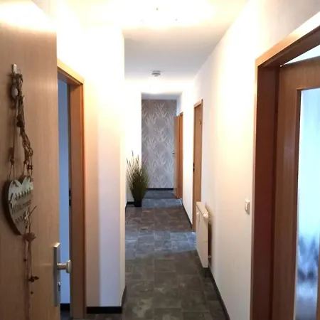 Ferien- Und Monteurswohnung Koethen/reinsdorf Apartament *