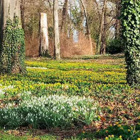 Ferien- Und Monteurswohnung Koethen/reinsdorf Apartament Zorbig