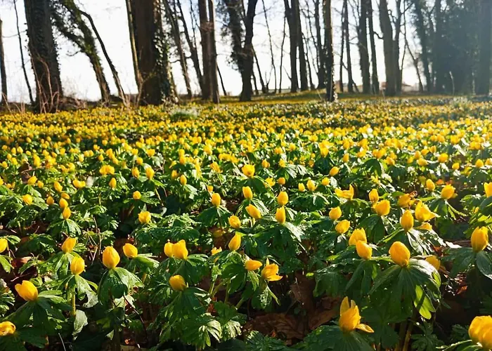 Ferien- Und Monteurswohnung Koethen/reinsdorf Zorbig