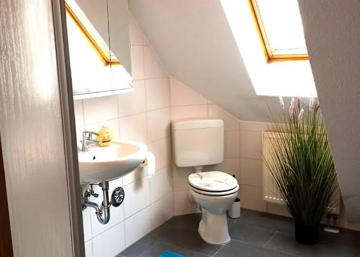 Appartement Ferien- Und Monteurswohnung Koethen/reinsdorf Zorbig