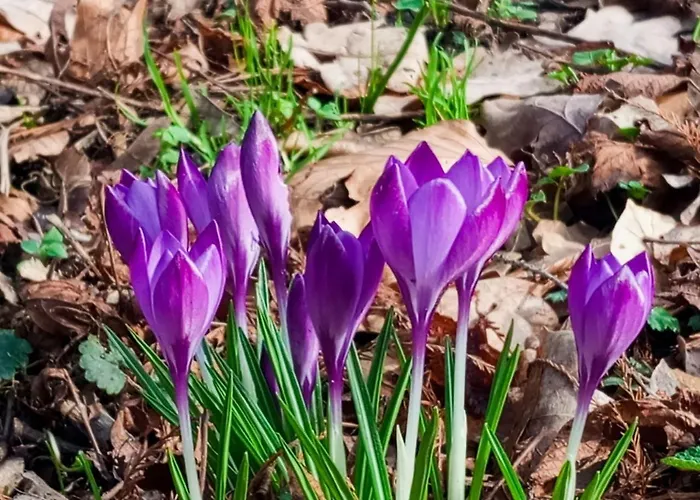 Ferien- Und Monteurswohnung Koethen/reinsdorf