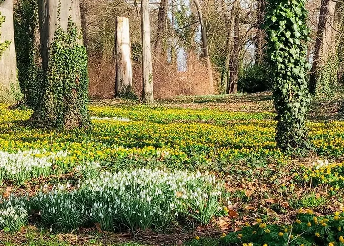 Ferien- Und Monteurswohnung Koethen/reinsdorf Appartement Zorbig
